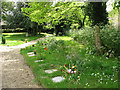 All Saints Church - path through churchyard