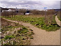 Footpaths across open land near Ewood Park