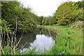 River Kenson at Burton Bridges