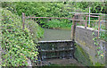 River Kenson weir gate - Burton Bridge