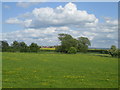 Meadows and hedges near Ford 2