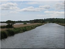 SX9687 : The Exeter Canal parallels the Exe estuary by Sarah Charlesworth