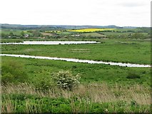 SX9687 : Exminster marshes by Sarah Charlesworth
