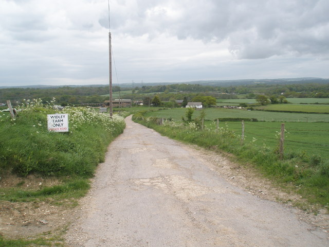 Looking from New Down Lane towards Widley Farm