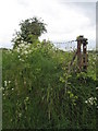 Old fashioned fence post at the boundary of  Widley Farm