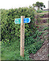 Signpost beside the Camel Trail