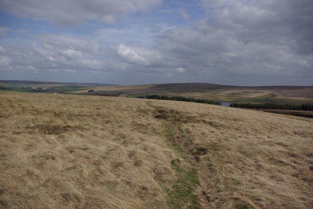 Path over the moor