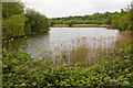 Lake south of Funtley Road