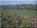 Farmland west of Luston