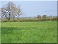 Footpath near Faulkland