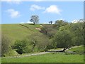 Tree lined dingle, Great Cantel