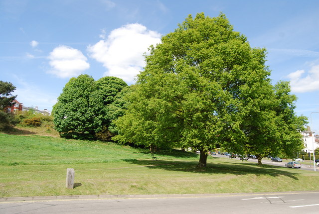 Large Oak Tree, Tunbridge Wells Common © N Chadwick cc-by-sa/2.0 ...