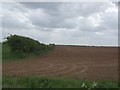 Field Boundary near Castlethorpe