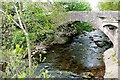 Llangenny bridge