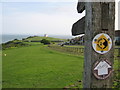 The Saxon Shore Way on the East Cliffs