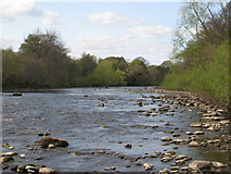 NY9166 : The River North Tyne above Watersmeet by Mike Quinn
