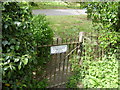 The side gate to Llanllwchaiarn Church