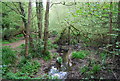 Headwaters of the River Arun, Hamper