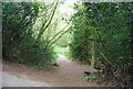 Footpath signposted off Hamper