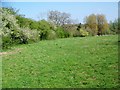 Footpath, Knoll Farm