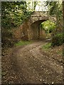 Railway bridge, Chycowling