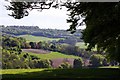 Howe Wood from Watlington Hill