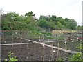 Allotments - Gallows Hill