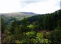 Glasdir Copper Trail - Coes y Brenin forest