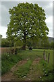 Farmland at Llanfair Kilgeddin