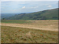 Rough pasture near Carrshield