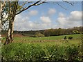 Fields near Blackingstone Farm