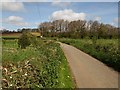 Lane near Lewdons Farm