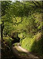 Lane near Blackingstone Rock