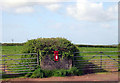 Post Box Old Castle Road.