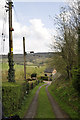 Footpath in Lower Lydbrook