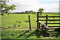 Stile and Footpath