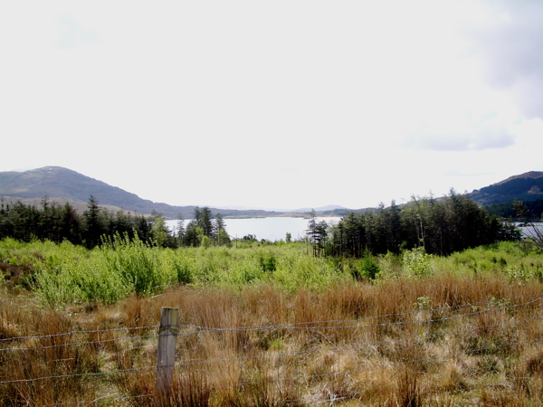 Lough Inagh and east margin - view south west across the centre