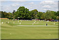 Playing Cricket, Horsham Cricket Club