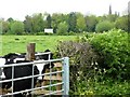 Sutton Bonington, Pasture Lane