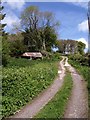 Bridleway near Leign