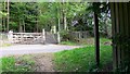 Bridleway crosses lane on Terwick Common