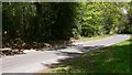 Lane on Terwick Common