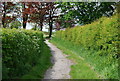 Bridleway approaching Christ