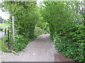 North Downs Way on Pilgrims Way