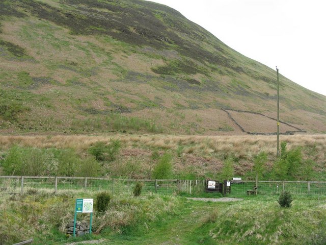 Peat Hill side at Carrifran