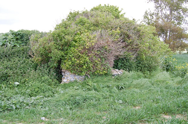 Remains of Cudlow Barn
