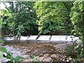 Weir In The Sun - 2, River Don, Oughtibridge