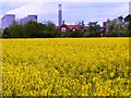 Kingston on Soar, fields and Ratcliffe on Soar power  station