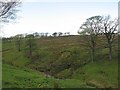 Rough grazing, Caldercruix