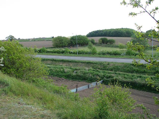 View across the B1145 (Henry Page Road)